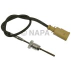 Exhaust Gas Recirculation (EGR) Valve Temperature Sensor