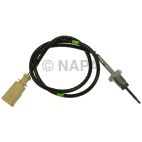 Exhaust Gas Recirculation (EGR) Valve Temperature Sensor