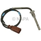 Exhaust Gas Recirculation (EGR) Valve Temperature Sensor