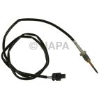 Exhaust Gas Recirculation (EGR) Valve Temperature Sensor