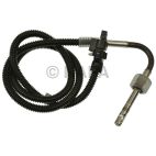 Exhaust Gas Recirculation (EGR) Valve Temperature Sensor