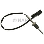 Exhaust Gas Recirculation (EGR) Valve Temperature Sensor