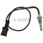 Exhaust Gas Recirculation (EGR) Valve Temperature Sensor