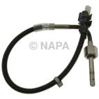 Exhaust Gas Recirculation (EGR) Valve Temperature Sensor