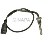 Exhaust Gas Recirculation (EGR) Valve Temperature Sensor