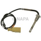 Exhaust Gas Recirculation (EGR) Valve Temperature Sensor