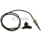Exhaust Gas Recirculation (EGR) Valve Temperature Sensor