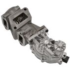 Exhaust Gas Recirculation (EGR) Valve