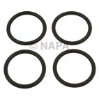 High Pressure Oil Rail Repair Kit