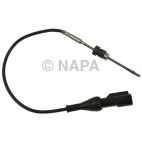 Exhaust Gas Recirculation (EGR) Valve Temperature Sensor