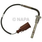 Exhaust Gas Recirculation (EGR) Valve Temperature Sensor