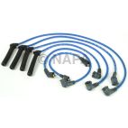 Spark Plug Wire Set