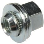 Wheel Lug Nut