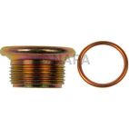 Engine Oil Drain Plug