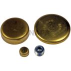 Engine Expansion Plug Kit