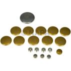 Engine Expansion Plug Kit