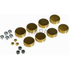 Engine Expansion Plug Kit