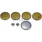 Engine Expansion Plug Kit