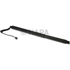 Liftgate Cylinder
