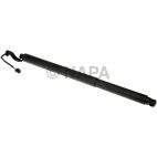 Liftgate Cylinder