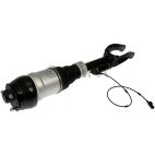 Suspension Strut Assembly