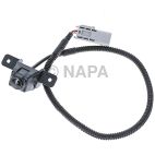 Park Assist Camera