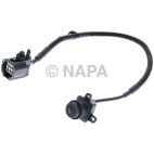 Park Assist Camera