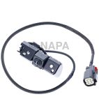 Park Assist Camera