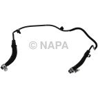 Radiator Coolant Hose