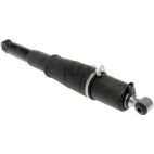Air Shock Absorber