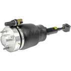 Suspension Strut Assembly