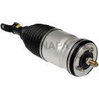 Suspension Strut Assembly