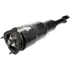 Suspension Strut Assembly