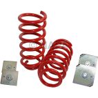 Air Spring to Coil Spring Conversion Kit