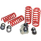 Air Spring to Coil Spring Conversion Kit