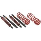 Air Spring to Coil Spring Conversion Kit