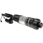 Suspension Strut Assembly