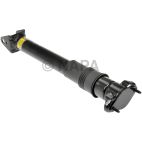 Air Shock Absorber