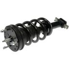 Suspension Strut and Coil Spring Assembly