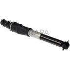 Air Shock Absorber