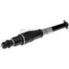 Air Shock Absorber