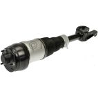Suspension Strut Assembly