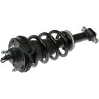 Suspension Strut and Coil Spring Assembly