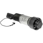 Suspension Strut Assembly
