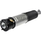 Suspension Strut Assembly