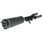 Suspension Strut Assembly