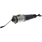 Suspension Strut Assembly