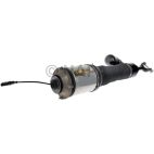 Suspension Strut Assembly