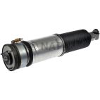 Suspension Strut Assembly