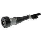 Suspension Strut Assembly